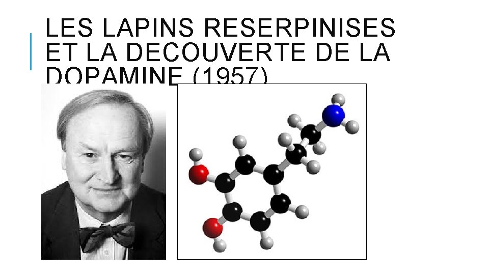 LES LAPINS RESERPINISES ET LA DECOUVERTE DE LA DOPAMINE (1957) LES LAPINS RESERPINISES ET LA DECOUVERTE DE LA DOPAMINE (1957)