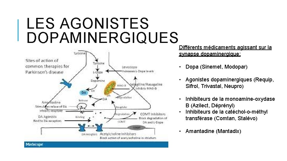 LES AGONISTES DOPAMINERGIQUES Différents médicaments agissant sur la synapse dopaminergique: • Dopa (Sinemet, Modopar) LES AGONISTES DOPAMINERGIQUES Différents médicaments agissant sur la synapse dopaminergique: • Dopa (Sinemet, Modopar)