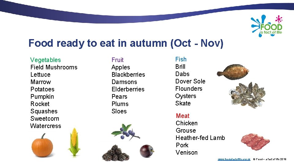 Food ready to eat in autumn (Oct - Nov) Vegetables Field Mushrooms Lettuce Marrow