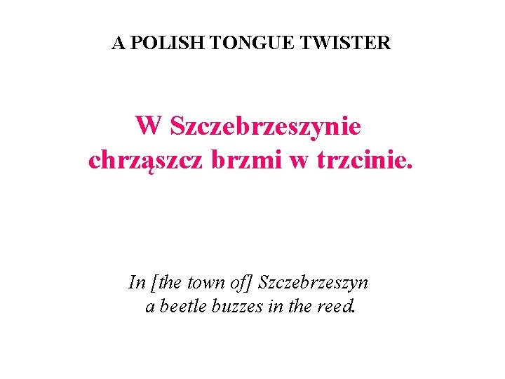 A POLISH TONGUE TWISTER W Szczebrzeszynie chrząszcz brzmi w trzcinie. In [the town of]