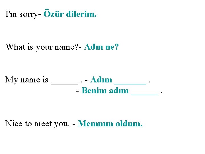 I'm sorry- Özür dilerim. What is your name? - Adın ne? My name is