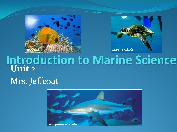 123 rf. com mare. hawaii. edu Introduction to Marine Science Unit 2 Mrs. Jeffcoat