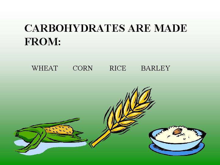 CARBOHYDRATES ARE MADE FROM: WHEAT CORN RICE BARLEY 