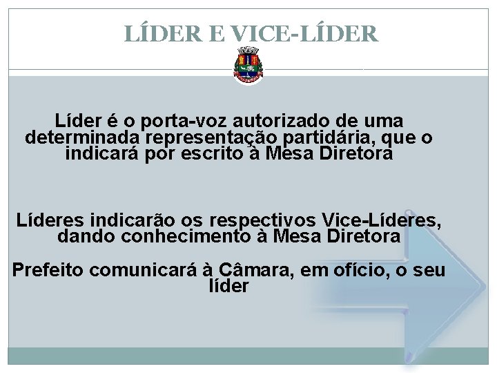 LÍDER E VICE-LÍDER Líder é o porta-voz autorizado de uma determinada representação partidária, que