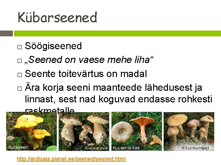Kübarseened Söögiseened „Seened on vaese mehe liha“ Seente toitevärtus on madal Ära korja seeni Kübarseened Söögiseened „Seened on vaese mehe liha“ Seente toitevärtus on madal Ära korja seeni