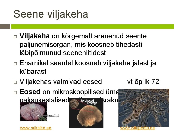 Seene viljakeha Viljakeha on kõrgemalt arenenud seente paljunemisorgan, mis koosneb tihedasti läbipõimunud seeneniitidest Enamikel