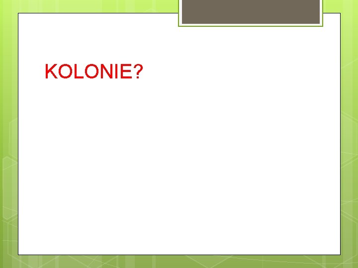 KOLONIE? KOLONIE?
