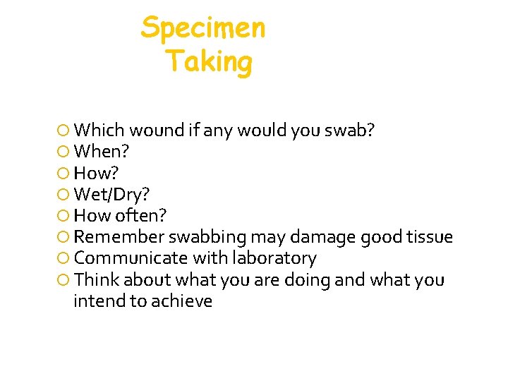 Specimen Taking Which wound if any would you swab? When? How? Wet/Dry? How often? Specimen Taking Which wound if any would you swab? When? How? Wet/Dry? How often?