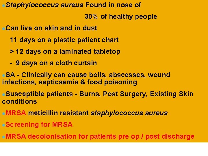 l. Staphylococcus aureus Found in nose of 30% of healthy people l. Can live l. Staphylococcus aureus Found in nose of 30% of healthy people l. Can live