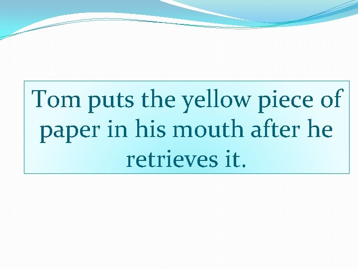 Tom puts the yellow piece of paper in his mouth after he retrieves it.