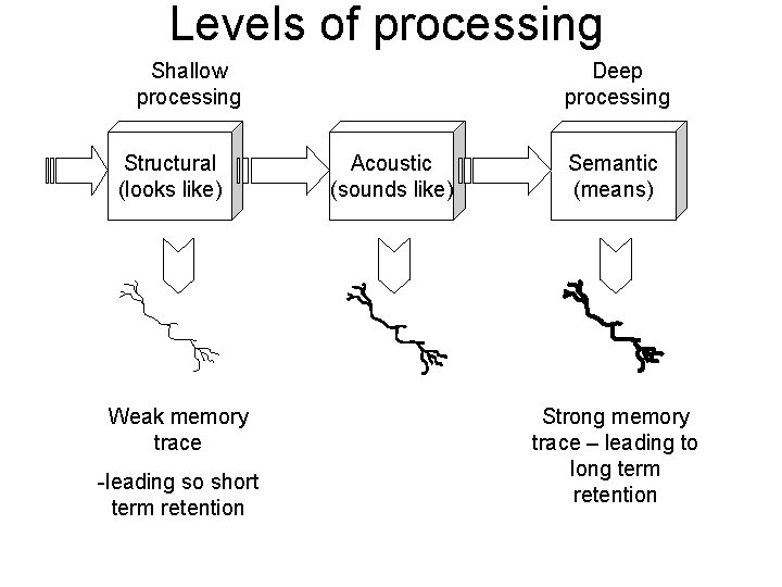 Levels of processing Shallow processing Structural (looks like) Weak memory trace -leading so short