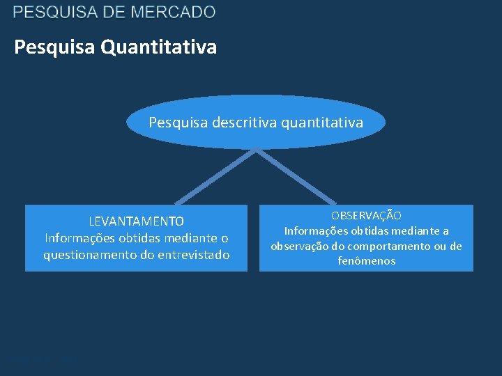 Pesquisa Quantitativa Pesquisa descritiva quantitativa LEVANTAMENTO Informações obtidas mediante o questionamento do entrevistado Carlos