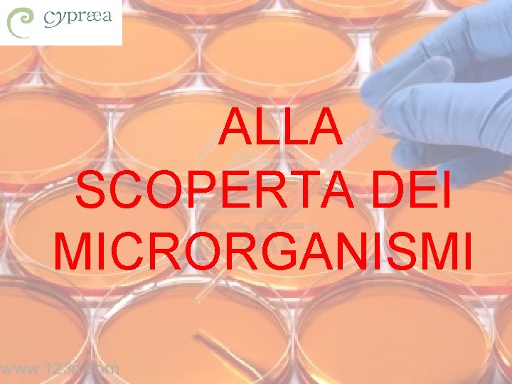 ALLA SCOPERTA DEI MICRORGANISMI 