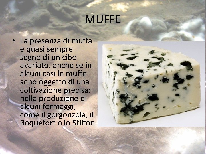 MUFFE • La presenza di muffa è quasi sempre segno di un cibo avariato,