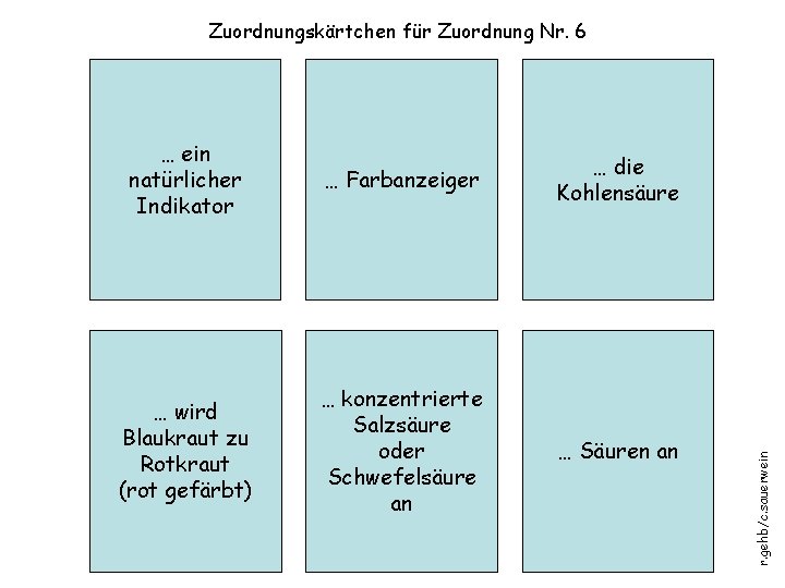 … ein natürlicher Indikator … Farbanzeiger … die Kohlensäure … wird Blaukraut zu Rotkraut