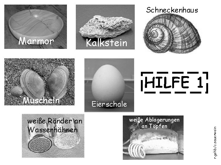 Schneckenhaus Marmor Kalkstein HILFE 1 weiße Ränder an Wasserhähnen Eierschale weiße Ablagerungen an Töpfen