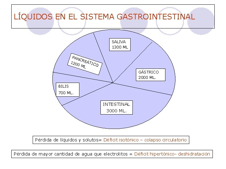 LÍQUIDOS EN EL SISTEMA GASTROINTESTINAL SALIVA 1300 ML PAN CRE Á 120 0 M