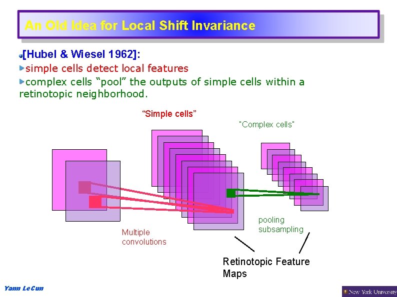 An Old Idea for Local Shift Invariance [Hubel & Wiesel 1962]: simple cells detect