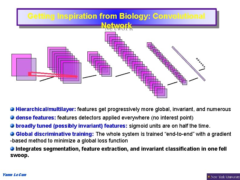 Getting Inspiration from Biology: Convolutional Network Hierarchical/multilayer: features get progressively more global, invariant, and