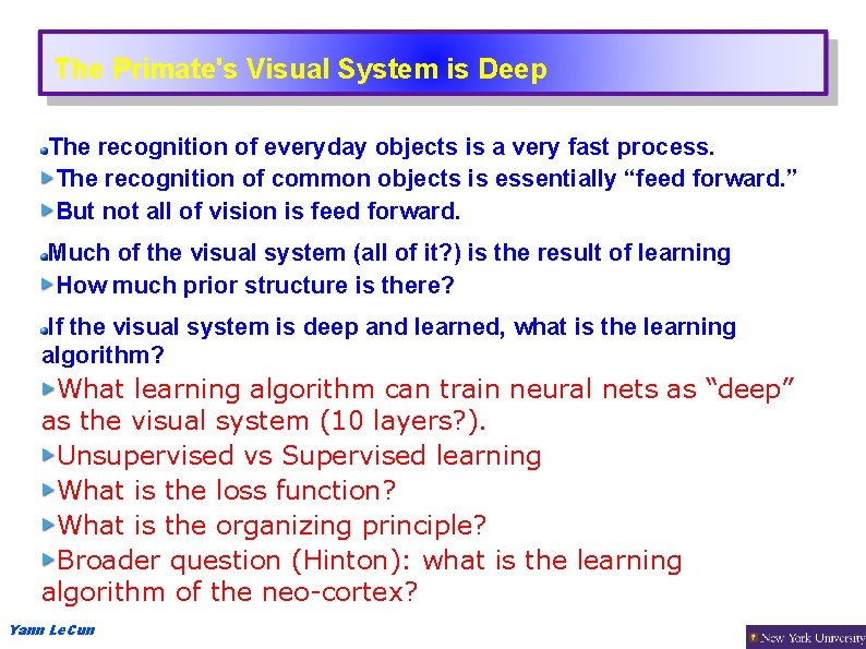 The Primate's Visual System is Deep The recognition of everyday objects is a very