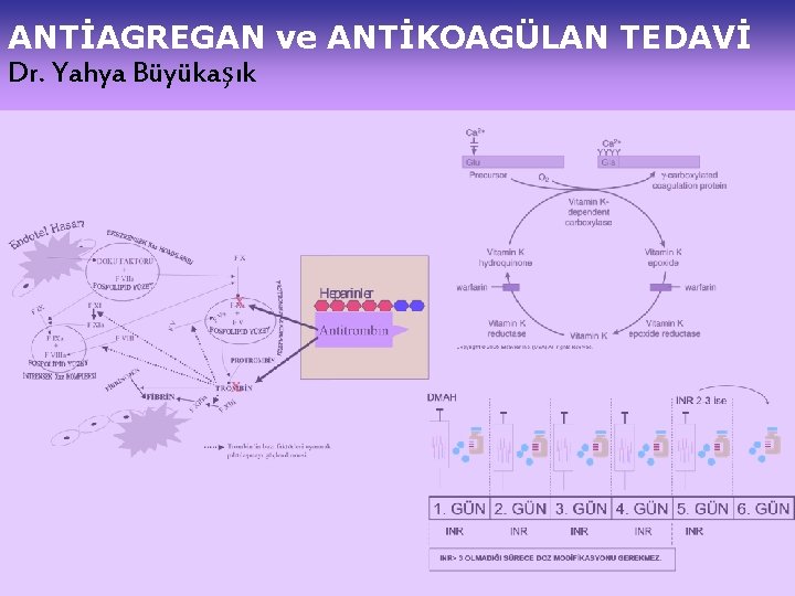 ANTİAGREGAN ve ANTİKOAGÜLAN TEDAVİ Dr. Yahya Büyükaşık 