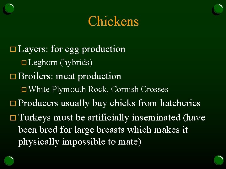 Chickens o Layers: for egg production o Leghorn o Broilers: o White (hybrids) meat