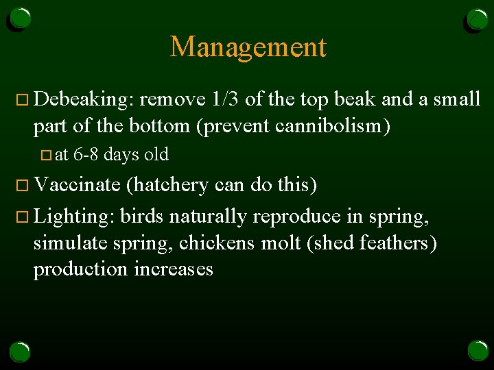 Management o Debeaking: remove 1/3 of the top beak and a small part of