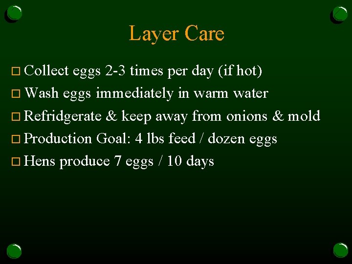 Layer Care o Collect eggs 2 -3 times per day (if hot) o Wash