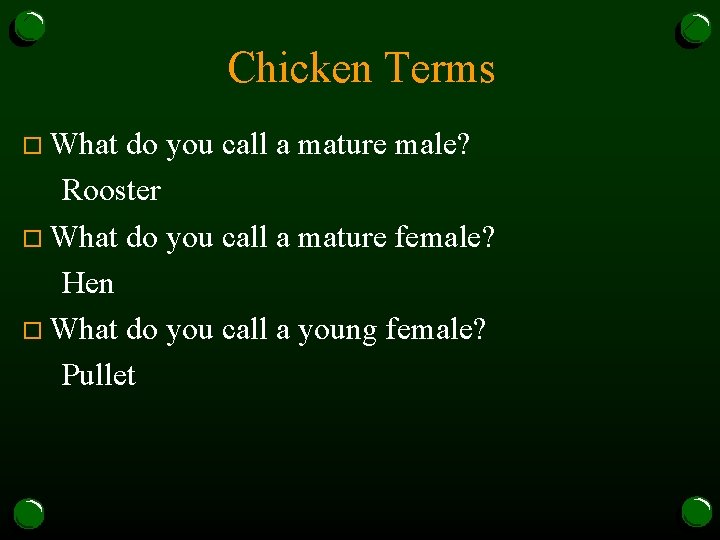 Chicken Terms o What do you call a mature male? Rooster o What do