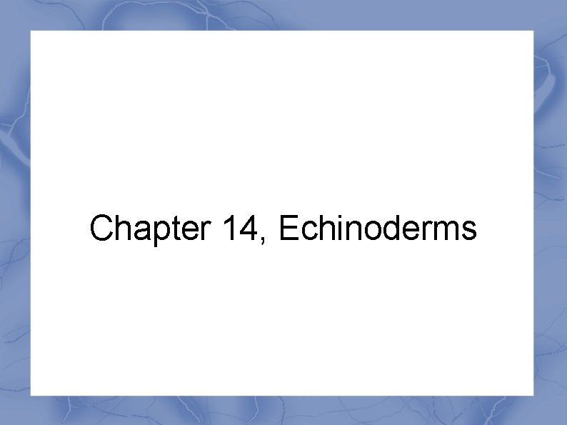 Chapter 14, Echinoderms 