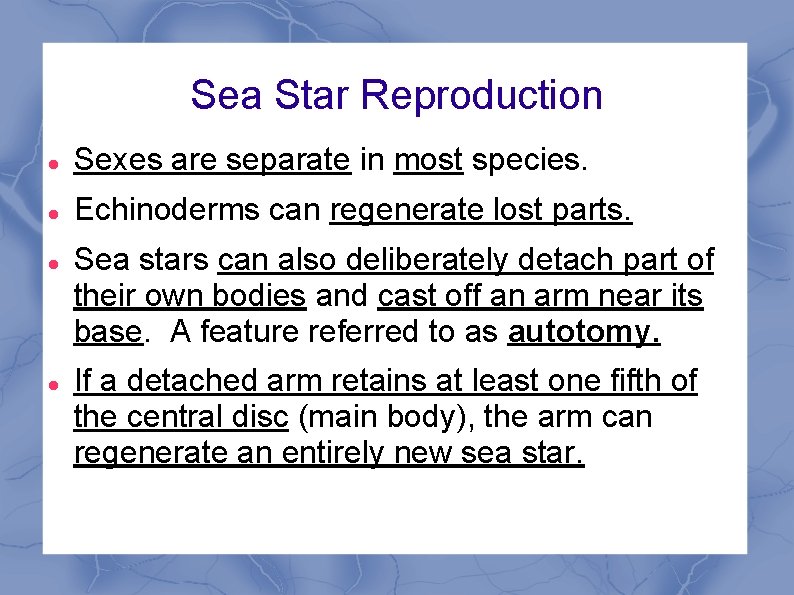 Sea Star Reproduction Sexes are separate in most species. Echinoderms can regenerate lost parts.