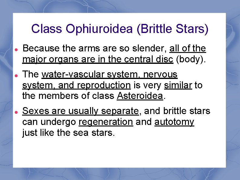 Class Ophiuroidea (Brittle Stars) Because the arms are so slender, all of the major Class Ophiuroidea (Brittle Stars) Because the arms are so slender, all of the major