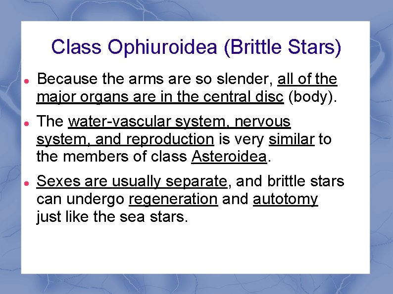 Class Ophiuroidea (Brittle Stars) Because the arms are so slender, all of the major