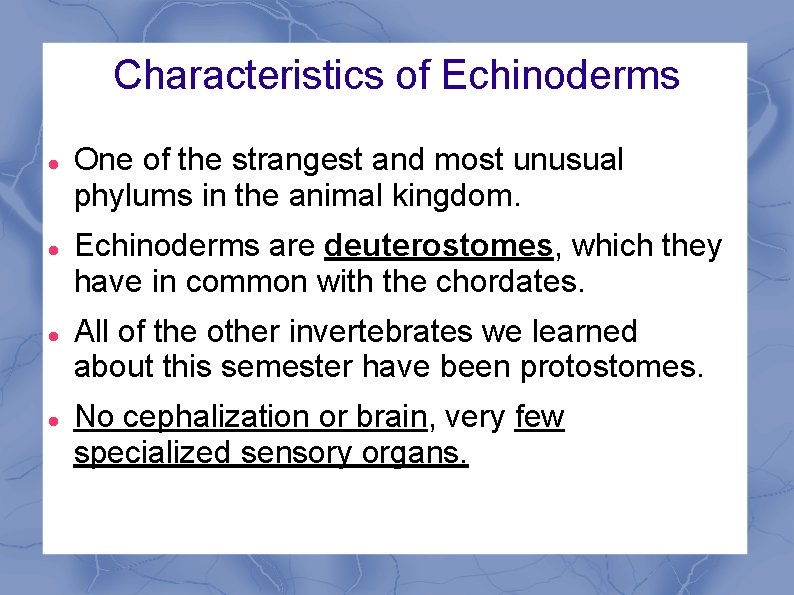 Characteristics of Echinoderms One of the strangest and most unusual phylums in the animal