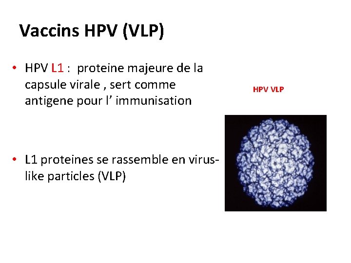  Vaccins HPV (VLP) • HPV L 1 : proteine majeure de la capsule