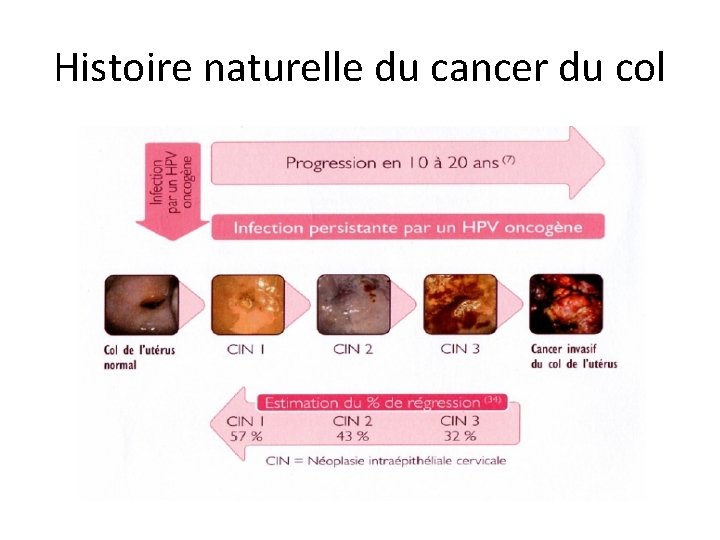 Histoire naturelle du cancer du col 