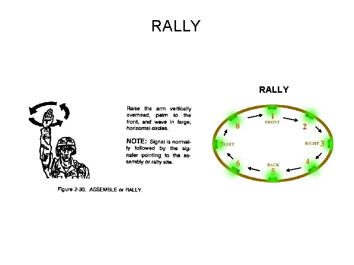 RALLY RALLY