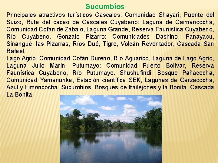 Sucumbíos Principales atractivos turísticos Cascales: Comunidad Shayari, Puente del Suizo, Ruta del cacao de