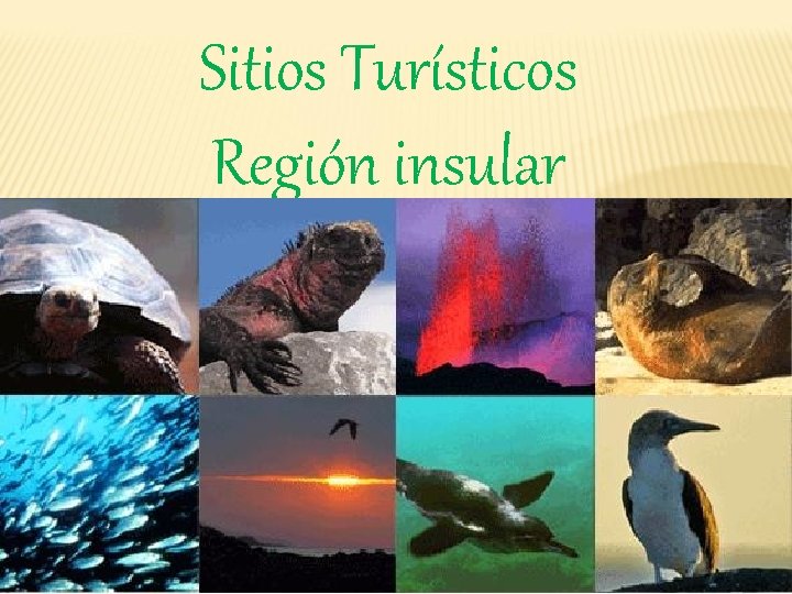 Sitios Turísticos Región insular 