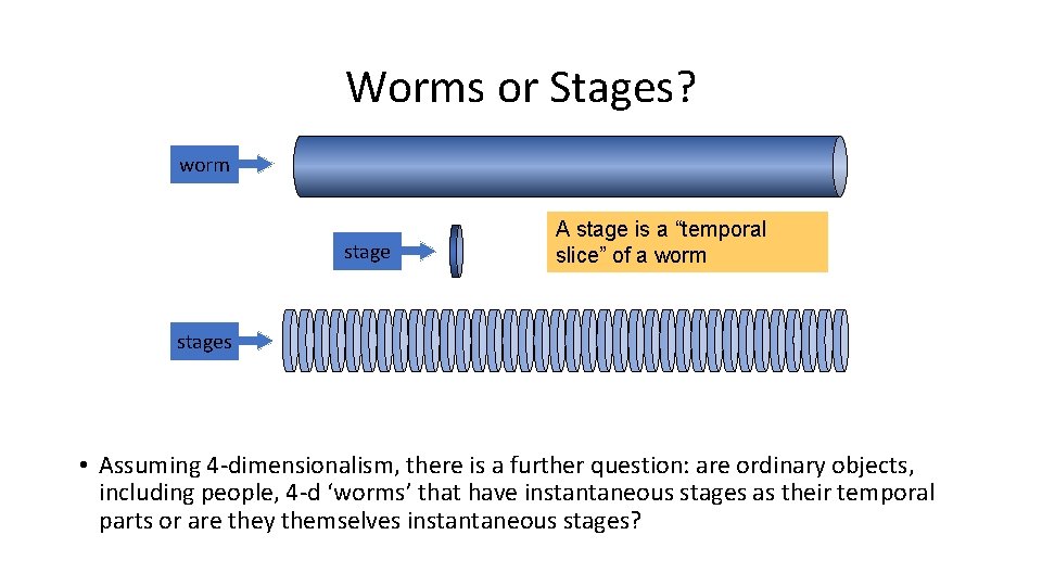 Worms or Stages? worm stage A stage is a “temporal slice” of a worm