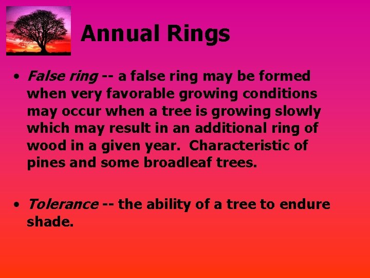 Annual Rings • False ring -- a false ring may be formed when very