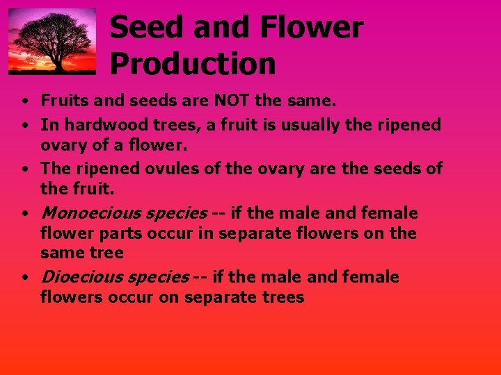 Seed and Flower Production • Fruits and seeds are NOT the same. • In