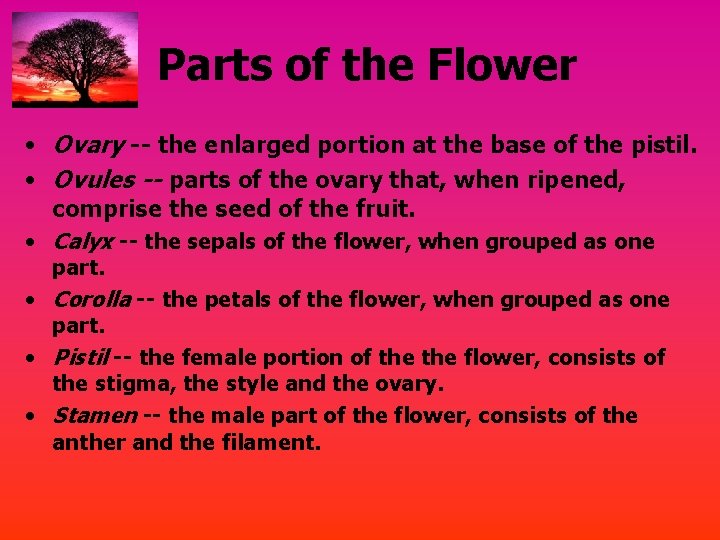 Parts of the Flower • Ovary -- the enlarged portion at the base of