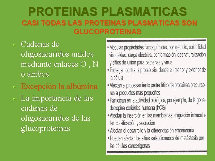 PROTEINAS PLASMATICAS CASI TODAS LAS PROTEINAS PLASMATICAS SON GLUCOPROTEINAS • • • Cadenas de