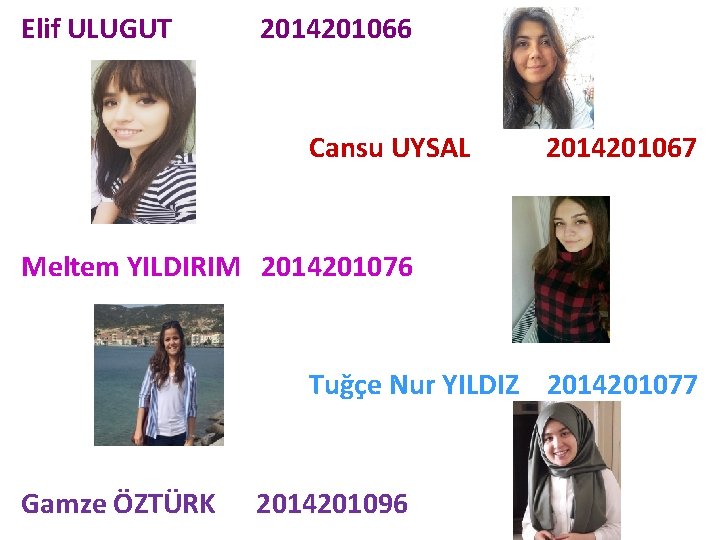 Elif ULUGUT 2014201066 Cansu UYSAL 2014201067 Meltem YILDIRIM 2014201076 Tuğçe Nur YILDIZ 2014201077 Gamze