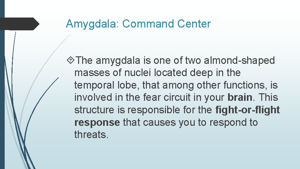 Amygdala: Command Center The amygdala is one of two almond-shaped masses of nuclei located