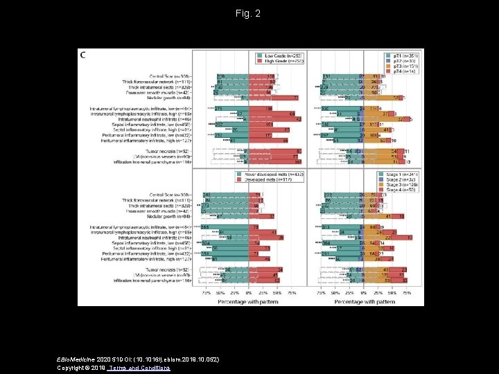 Fig. 2 EBio. Medicine 2020 51 DOI: (10. 1016/j. ebiom. 2019. 10. 052) Copyright