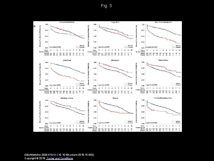 Fig. 3 EBio. Medicine 2020 51 DOI: (10. 1016/j. ebiom. 2019. 10. 052) Copyright