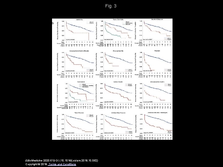 Fig. 3 EBio. Medicine 2020 51 DOI: (10. 1016/j. ebiom. 2019. 10. 052) Copyright