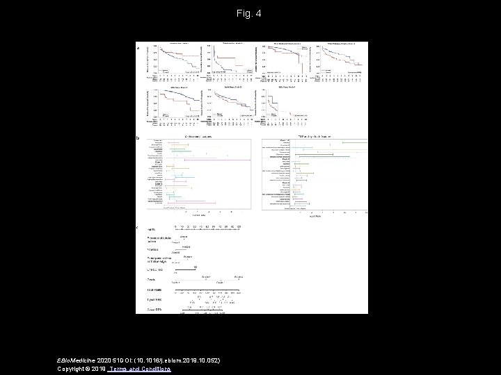 Fig. 4 EBio. Medicine 2020 51 DOI: (10. 1016/j. ebiom. 2019. 10. 052) Copyright